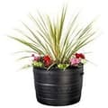 Miniatyrbilde 4 av 4: Stewart Smithy Planter