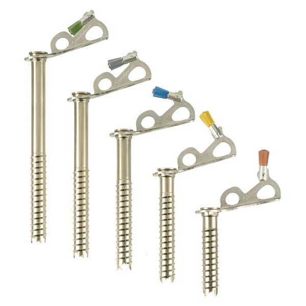Black Diamond Express Ice Screw 13 Cm Wall Anchor Flerfärgad 13 cm