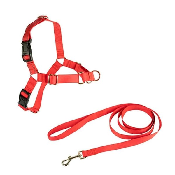 Harnais och rem Ibanez Dogway STOP-PULLING HARNESS OCH REM Ibanez Dogway STOP-PULLING HARNESS OCH REM Ibanez DOGWAY S SVART