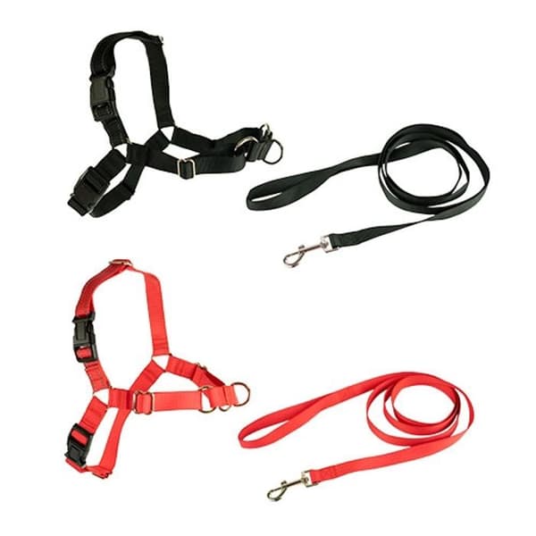 Harnais och rem Ibanez Dogway STOP-PULLING HARNESS OCH REM Ibanez Dogway STOP-PULLING HARNESS OCH REM Ibanez DOGWAY S SVART