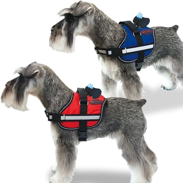 Aktiv sele BLUE HARNESS XL