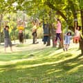 Miniatyrbillede 2 af 11: Ninja forhindringsbane til børn – HyperMotion Slackline sæt med 10 forhindringer, klatrestige, gynge, op til 113 kg
