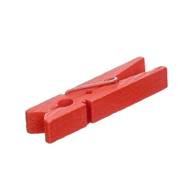 Klämmor Pincello 398 Multicolour Trä Stor (24 antal)