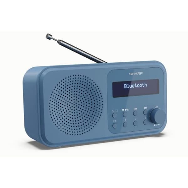 Sharp DR-P420 klockradio (renoverad A+)