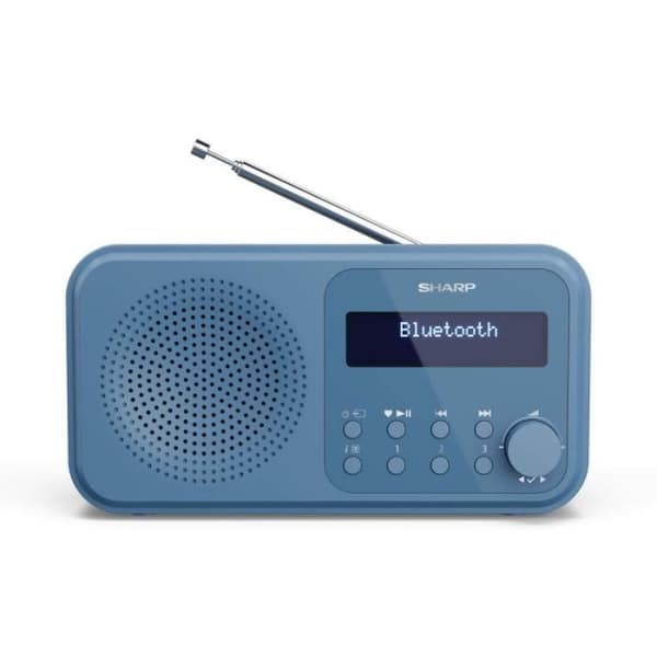 Sharp DR-P420 klockradio (renoverad A+)