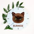 Miniatyrbillede 3 af 4: Burmesisk - MDF ur med Art-Dog mærke grafik og inskription