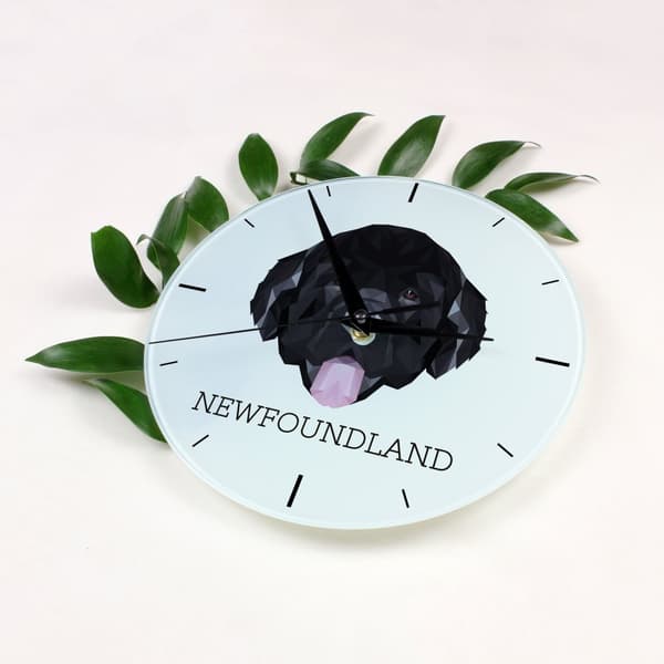 Newfoundland, Newfoundland, Wodołaz - geometrisk vægur med et foto og en inskription fra Art-Dog-mærket