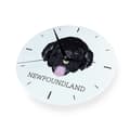 Miniatyrbillede 2 af 4: Newfoundland, Newfoundland, Wodołaz - geometrisk vægur med et foto og en inskription fra Art-Dog-mærket
