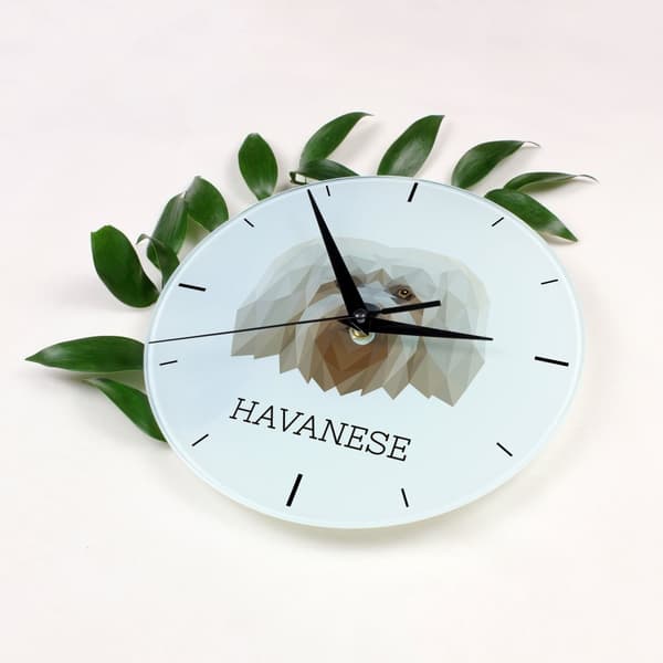 Havanese, Havanese - geometrinen seinäkello, jossa on valokuva ja merkintä Art-Dog-brändistä