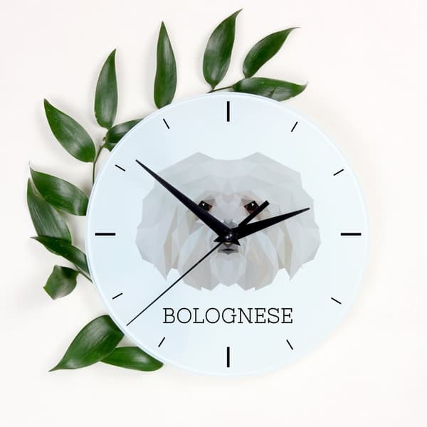 Bolognese, Bolognese - geometrisk vægur med et foto og en inskription af Art-Dog-mærket
