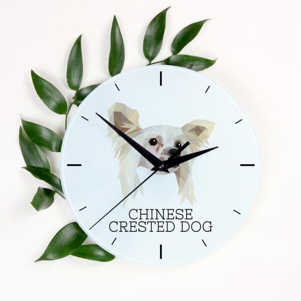 Chinese Crested Dog - en geometrisk väggklocka med ett foto och en inskription av märket Art-Dog