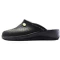 Miniatyrbilde 2 av 5: Dek Womens/Ladies Coated Leather Clogs