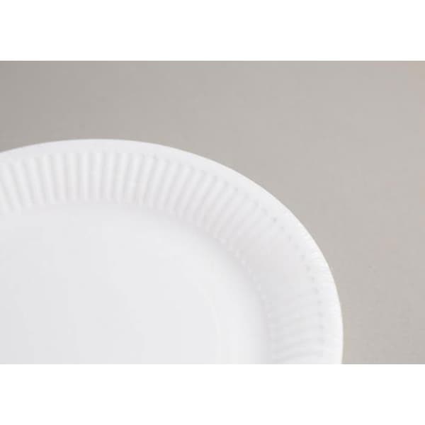 50 RUNDA PAPPARTIKLAR 23 CM VIT