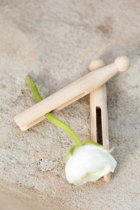 Wooden Pegs set of 10