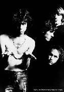 Doors - Band B/W MultiColor