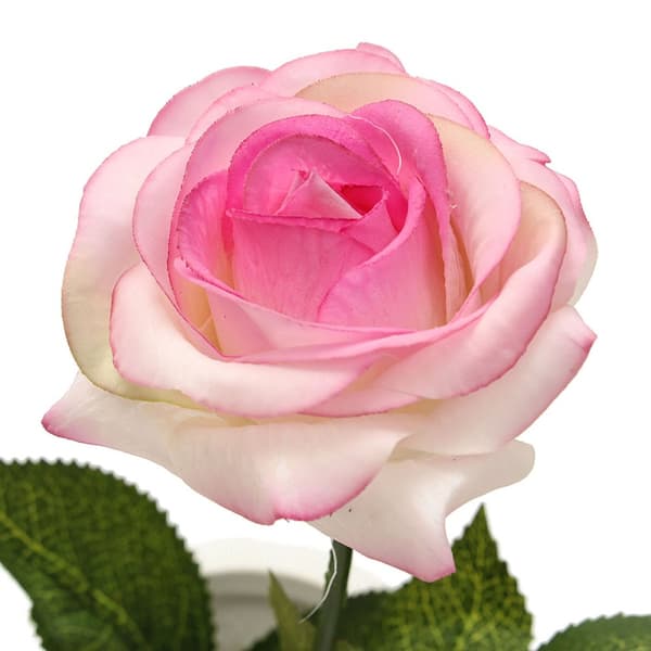 10 stk Head Craft Ægte Latex Touch Rose Kunstige Blomster Bryllup Hjem Design Buket Dekoration