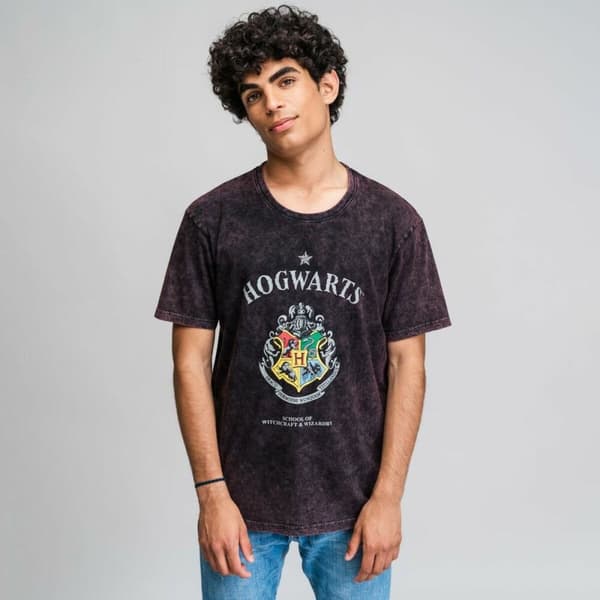 T-shirt med kortärm Herr Harry Potter Grå Mörkgrå - S