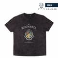 Miniatyrbillede 1 af 7: Kortærmet T-shirt til Mænd Harry Potter Grå Mørkegrå - S