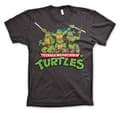 Pikkukuva 4 / 11: Turtles Distressed Group T-Shirt