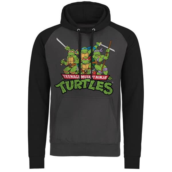 Turtles Distressed Group Baseball Hoodie Medium