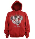 Pikkukuva 2 / 2: Team Kingston Falls Gremlins of 1984 Hoodie
