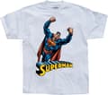 Pikkukuva 6 / 7: Superman Flying T-Shirt