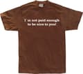 Miniatyrbild 5 av 7: I´m Not Paid Enough To Be Nice To You T-Shirt