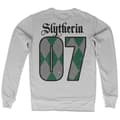 Miniatyrbild 5 av 6: Harry Potter - Slytherin 07 Sweatshirt