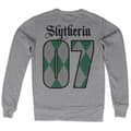 Miniatyrbild 3 av 6: Harry Potter - Slytherin 07 Sweatshirt