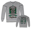Miniatyrbild 1 av 6: Harry Potter - Slytherin 07 Sweatshirt
