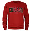 Miniatyrbillede 2 af 2: Chicago - Illinois Sweatshirt