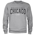 Miniatyrbillede 1 af 2: Chicago - Illinois Sweatshirt