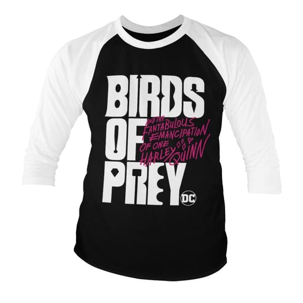 Birds Of Prey Logo Baseball 3/4 Sleeve Tee XX-Large