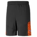 Miniatyrbild 3 av 5: Träningsshorts Puma Individualcup Svart