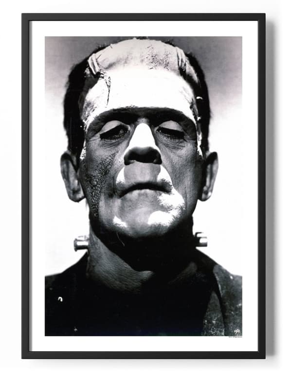 Frankenstein Close-up Poster 50x70