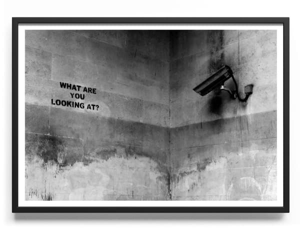 What Are You Looking At Poster 50x70