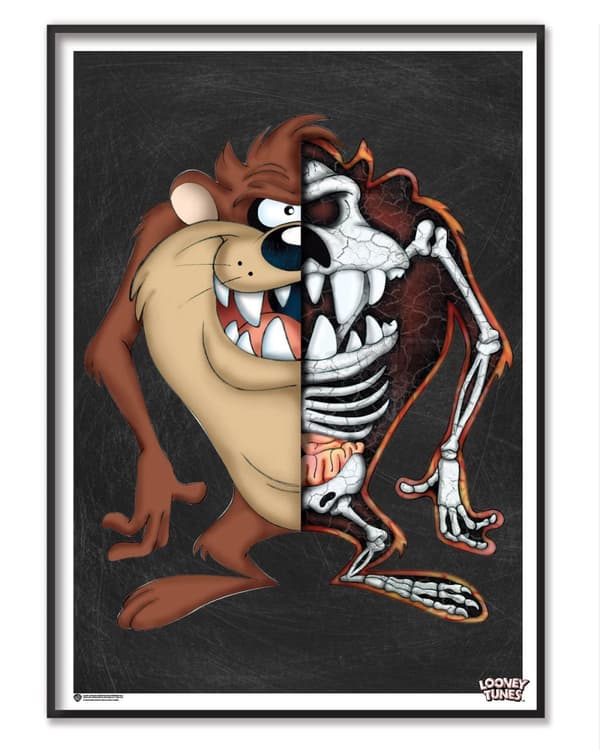 The Anatomy Of Tasmanian Devil Poster 50x70