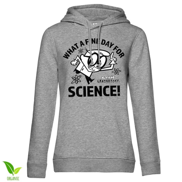 What A Fine Day For Science Girly Hoodie Small