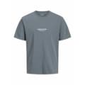 Miniatyrbilde 1 av 3: Kortarmet T-skjorte til Menn Jack & Jones JORVESTERBRO TEE SS 12240121 Grå - L