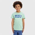 Miniatyrbild 7 av 11: T-shirt Levi's Batwing Meadow  Aquamarine - 4 år