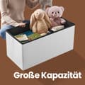 Miniatyrbillede 5 af 6: Bænk med opbevaringsplads, sammenklappelig sædekiste, opbevaringskiste