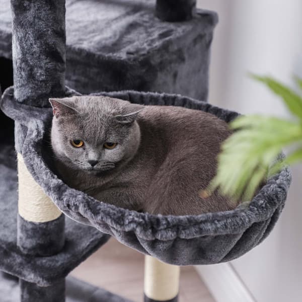 Katträd, XXL kattkoja 172 cm, rökgrå PCT019G01