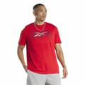 Pikkukuva 2 / 6: Miesten T-paita Reebok Graphic Series Punainen - M
