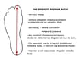 Miniatyrbillede 5 af 6: UNDER ARMOUR CHARGED ASSERT 10 SKO 3026175-001