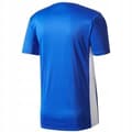 Miniatyrbild 2 av 2: ADIDAS ENTRADA CF1037 T-shirt
