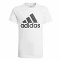 Miniatyrbild 5 av 11: T-shirt med kortärm Adidas Essentials  Vit - 9-10 år