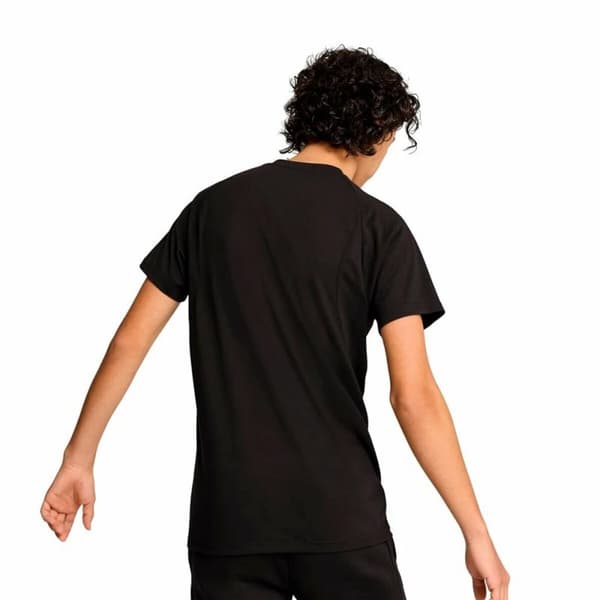 Miesten T-paita Puma Evostripe - M