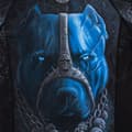 Miniatyrbild 5 av 7: Pit Bull Rashguard Skull Dog Långärmad M