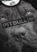 Pikkukuva 9 / 11: Pit Bull -rashguard-paita, lyhythihainen, syntynyt vuonna 1989, M