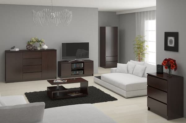 SCHADE STAR S 60 cm 2 DØRE 2 SKUFFE WENGE